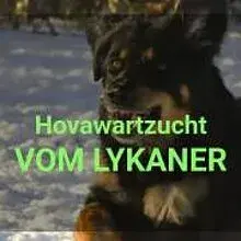 Vom Lykaner