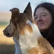 de l’energie du soleil