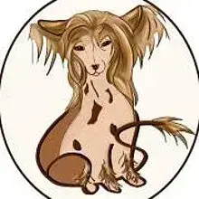 Like Ice in the Sunshine