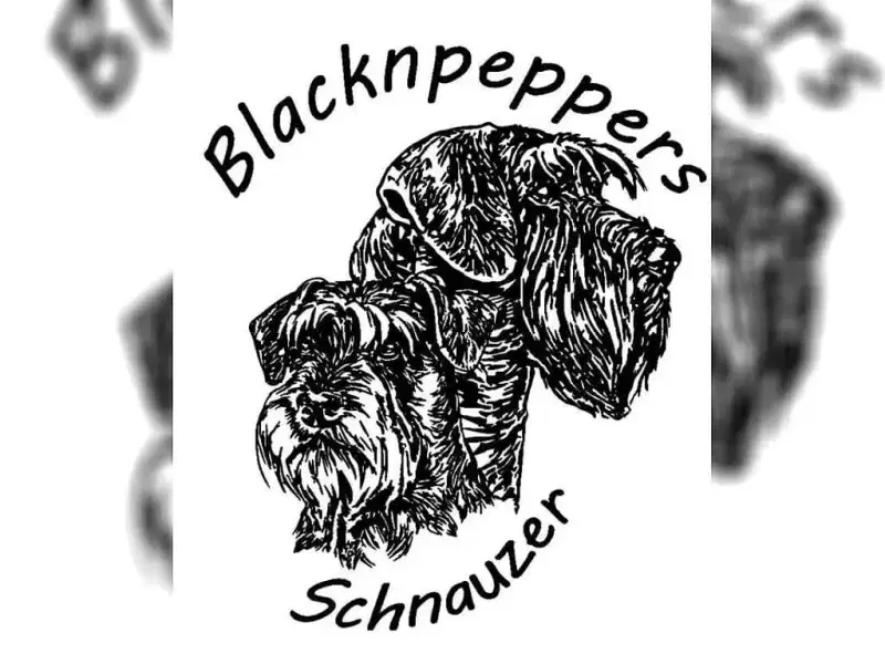 BLACKNPEPPERS