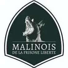 Malinois de la frisone liberte