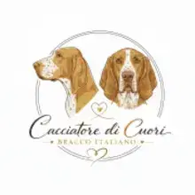 Cacciatore di cuori Bracco Italiano