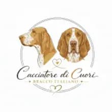 Cacciatore di cuori Bracco Italiano