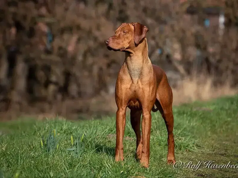 Charleen’s Coventry