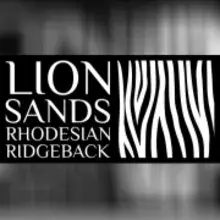 Lion Sands
