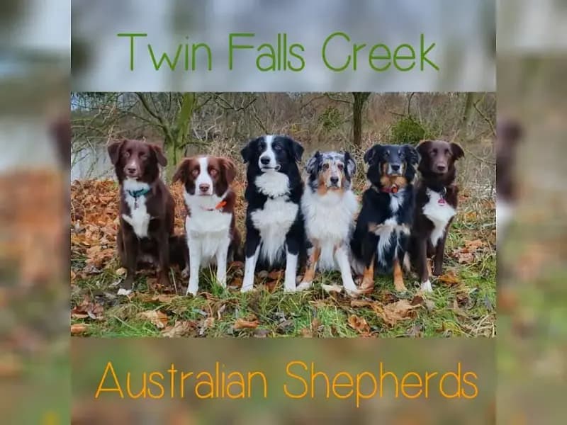 Twin Falls Creek