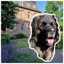 vom Selbolder Schloss