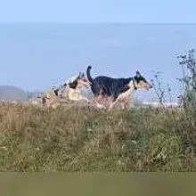 Von der Großen Aue