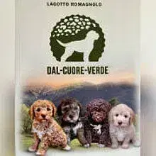 dal cuore verde