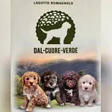 dal cuore verde