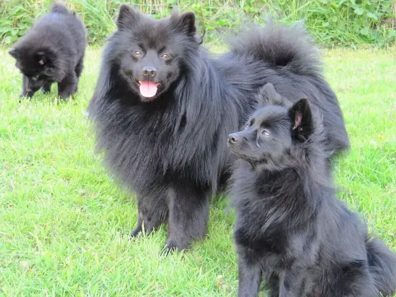 von Burg Hilpernstein