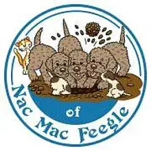 of Nac Mac Feegle