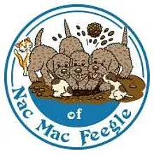 of Nac Mac Feegle