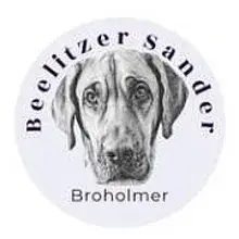 vom Beelitzer Sander