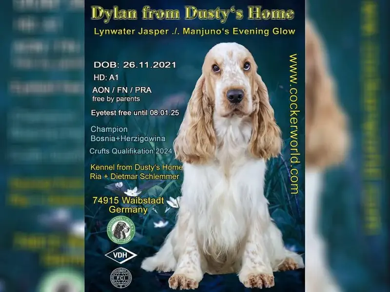 From Dusty's Home