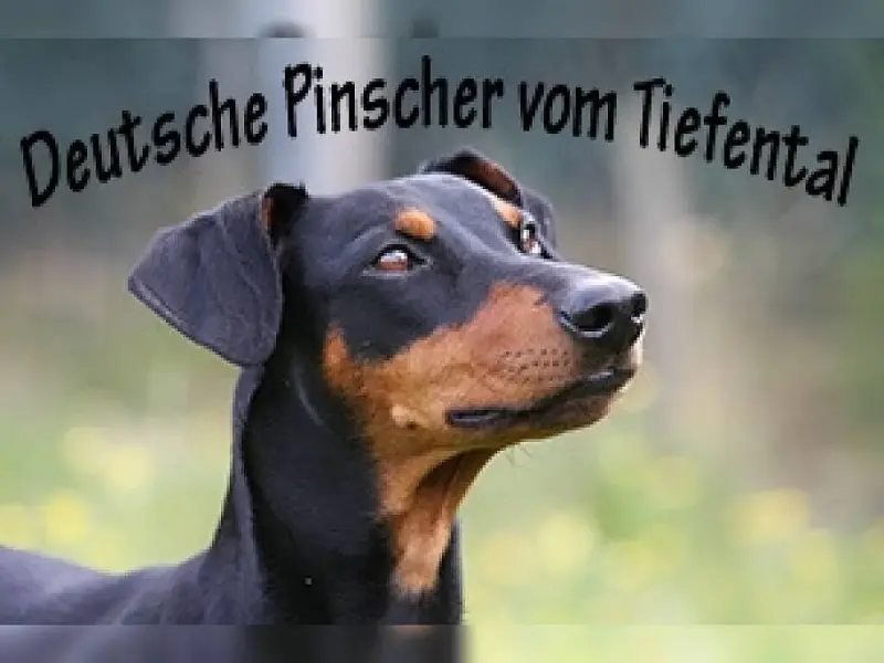 vom Tiefental