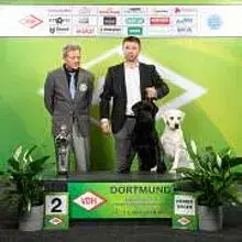 of Winter’s Village