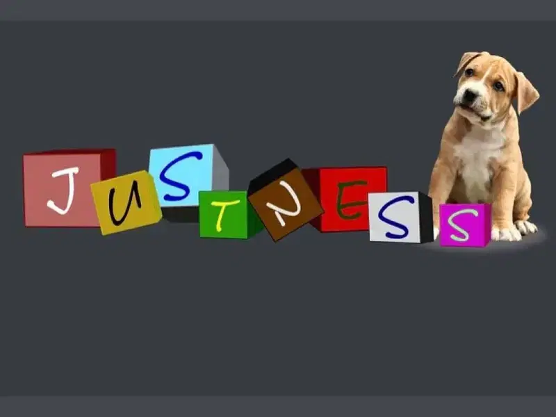 Justness