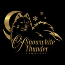 of snowwhite thunder