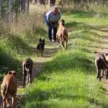 DYKA’s GENTLE