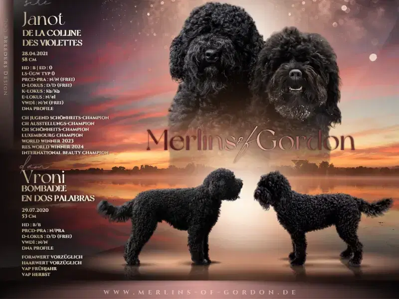 Merlin's ... of Gordon