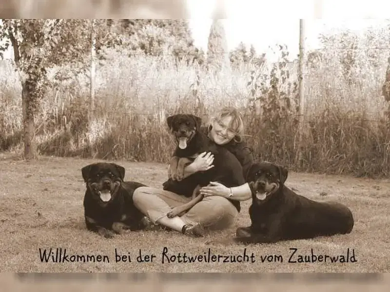 vom Zauberwald