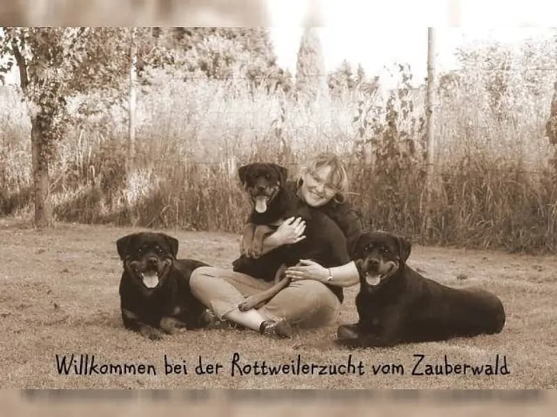 vom Zauberwald