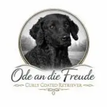 Ode an die Freude
