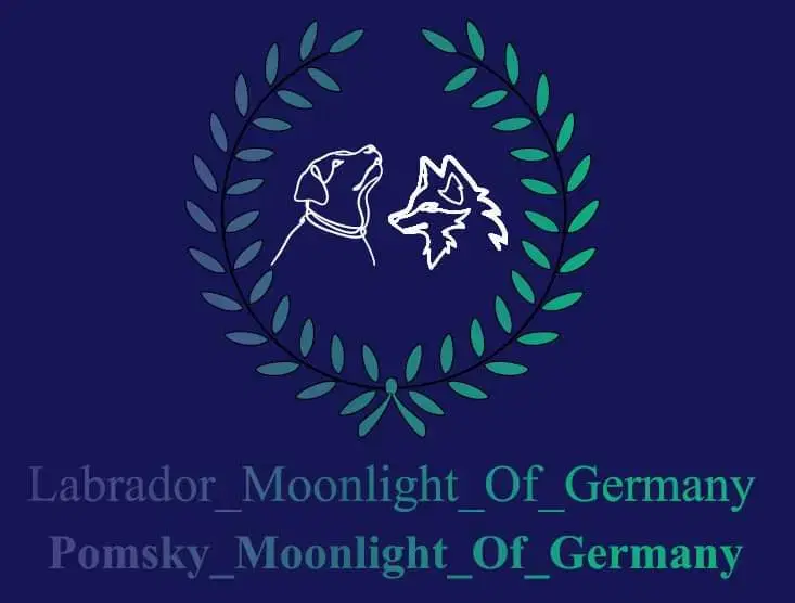 Moonlight_of_Germany - Bild 1