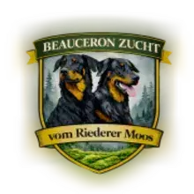 vom Riederer Moos
