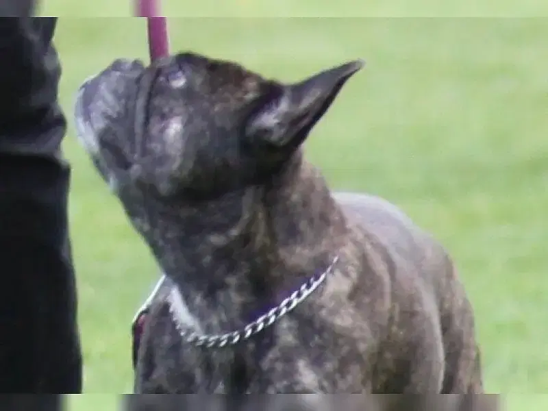 von der Mörike Allee