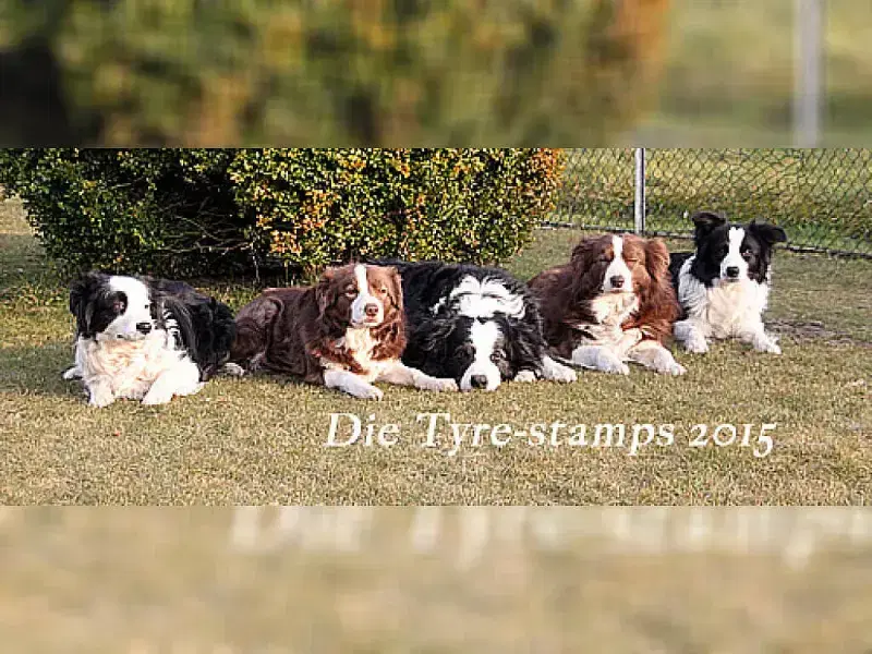 a leader from the tyre-stamp