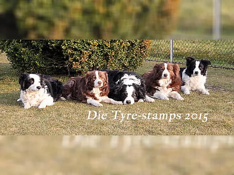 a leader from the tyre-stamp