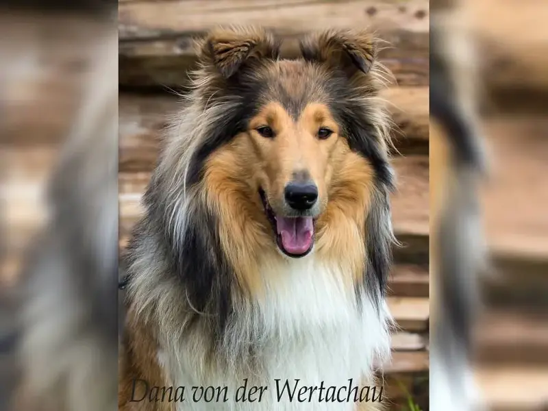 von der Wertachau