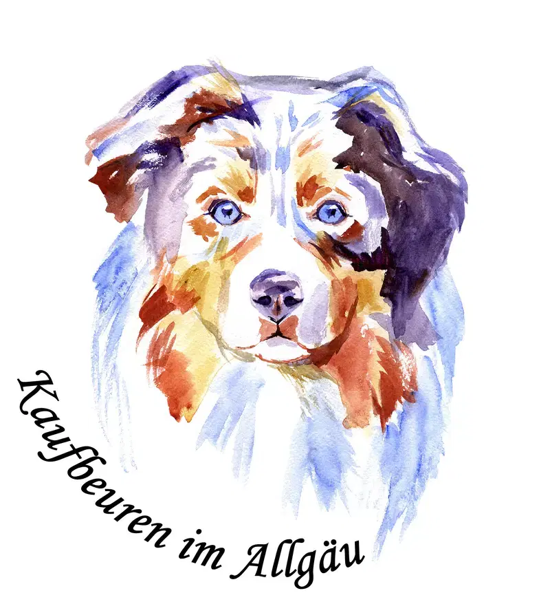 Regenbogen Aussies - Bild 1