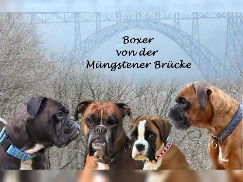 von der Müngstener Brücke