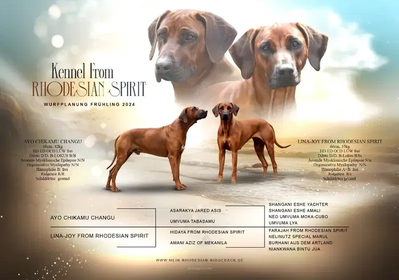 Kennel from Rhodesian Spirit  - Bild 1