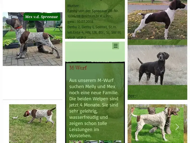von der Spreeaue