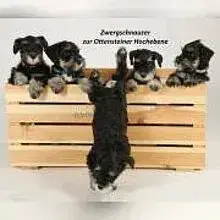 zur Ottensteiner Hochebene