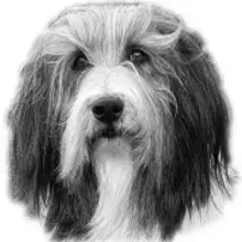 Philemon
