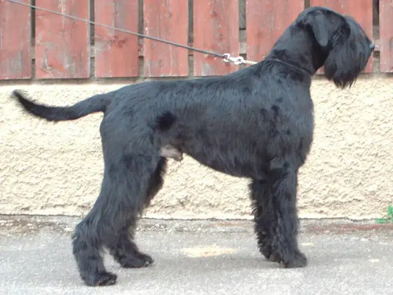 von der Geistermühle