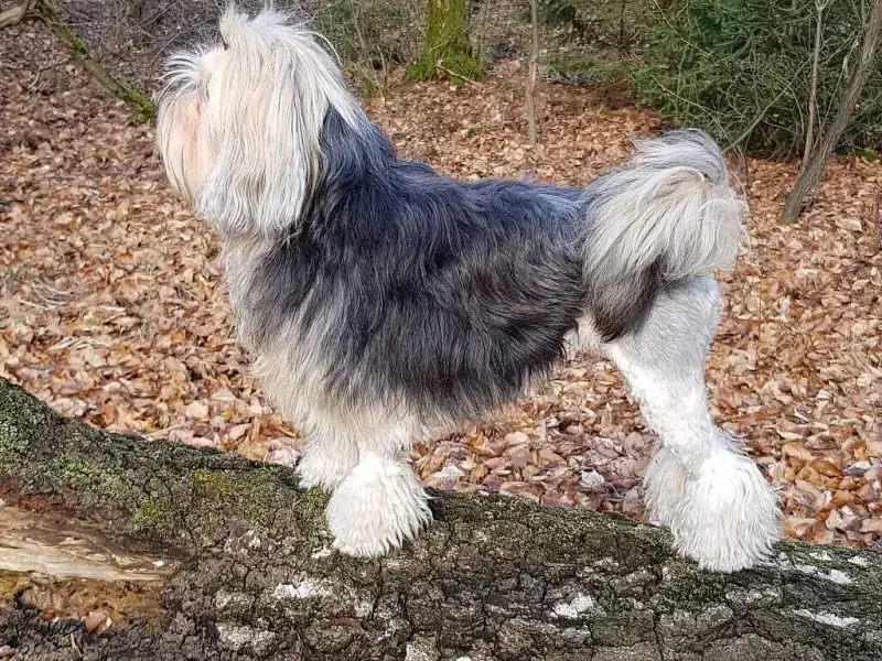 von der Storchenallee