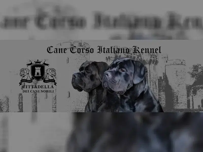 Cittadella dei Cani Nobili