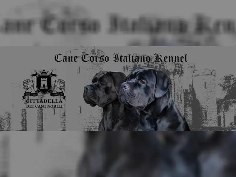 Cittadella dei Cani Nobili