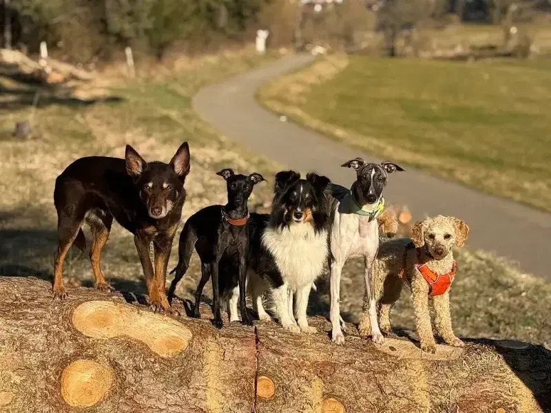 With Coolness and Power