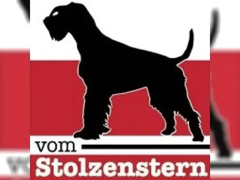 vom Stolzenstern