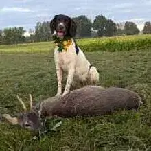 eine Menge Herder