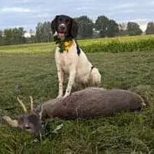 eine Menge Herder