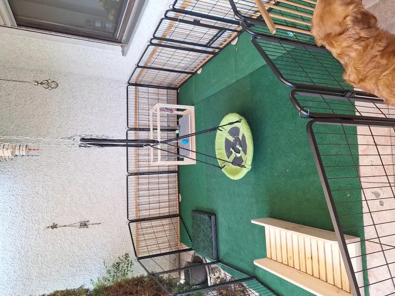 von der Mountainfielder Dog-Ranch gallery image 3