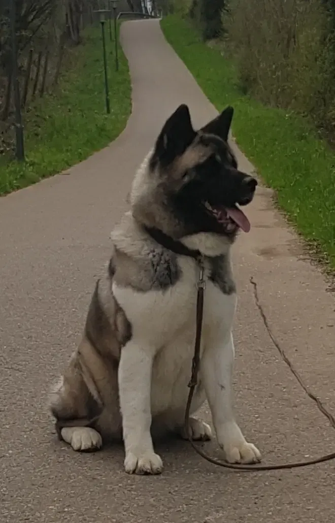 Akina Aiko Shelduch Akita River  gallery image 3